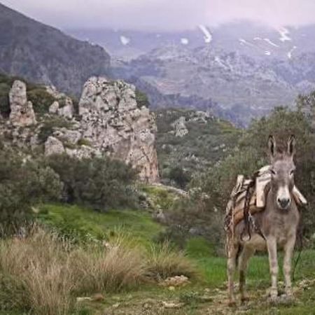 Traditional Cretan House Lithostrati Karidi Village Exteriér fotografie