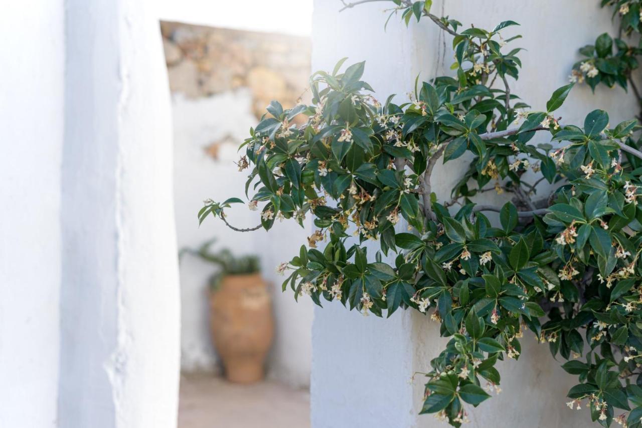Traditional Cretan House Lithostrati Karidi Village Exteriér fotografie