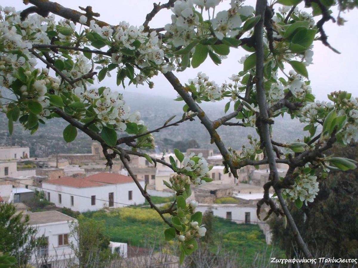 Traditional Cretan House Lithostrati Karidi Village Exteriér fotografie